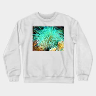 Giant Green Sea Anemone Crewneck Sweatshirt